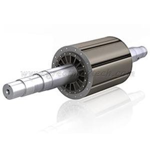 Rotor maighnéadach