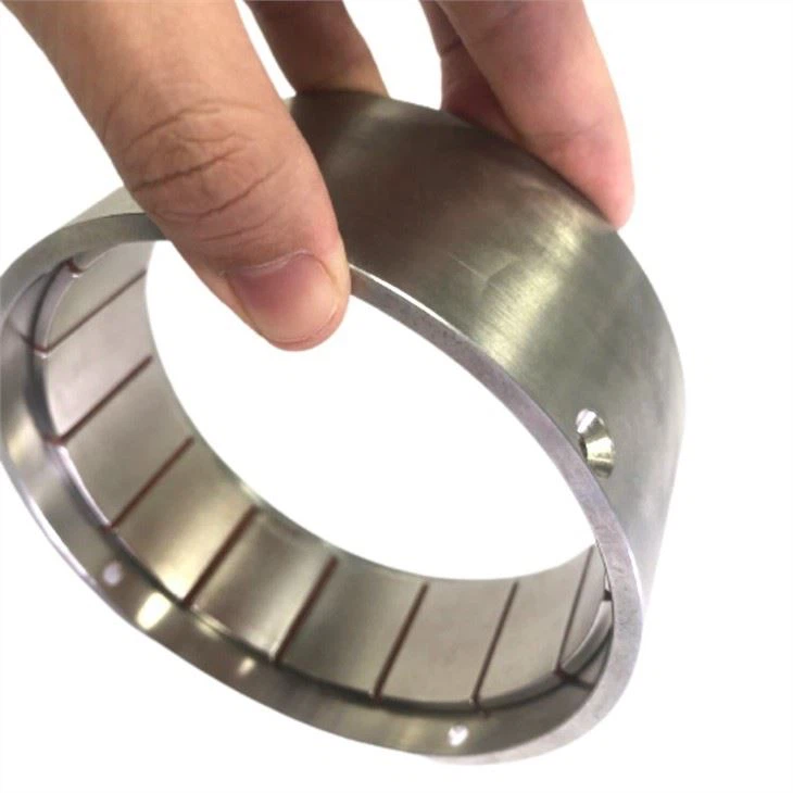 magnet rotor motor